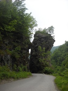 130. Okolí NP Biogradská Gora.jpg